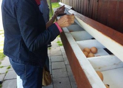IMG-20190529-WA0005